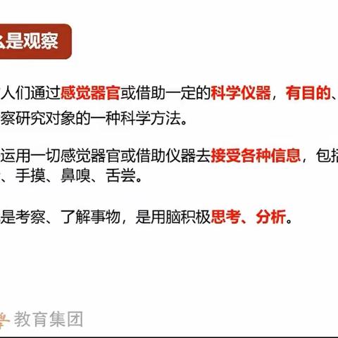 聚焦概念解读，蓄力共促成长——金京生名师工作室第二次线上活动