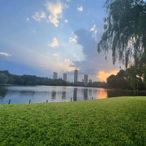 伊犁州医疗管理学习班浙大学习动态（二）