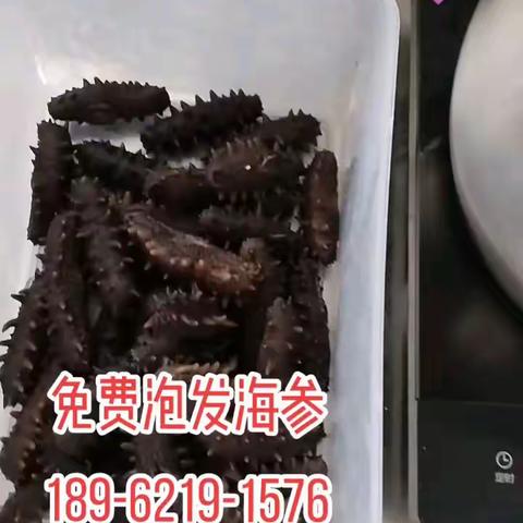 长鑫岛辽参小秦的简篇