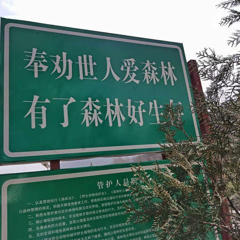 护林防火，人人有责：春季天干物燥，是一年最容易引起火灾的季节，现在是清明节，更要严加防守，河南村干部和镇抱村干部网格员一起培通护林员搞好防火工作，除每日喇叭宣传防火知识外还组织村民在路口，山口进行查。