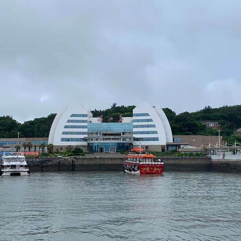 柳城小学七色花中队丁奕茹2023《你好，暑假》莲君养成记——趣味旅游记