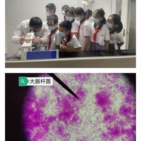 走进化学试验    了解环境生态   西新教育集团五（1）小雨点中队暑期研学之旅