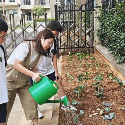 【“植”得期待 | 让我们一起迎接秋收的快乐】🌱Autumn🌱ฅ 𝕙𝕚～🥬🥕🥒🌶️🥦🍅
