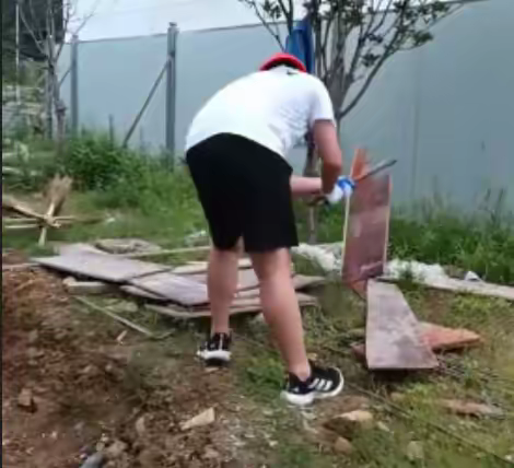 Thechosenfox的文章