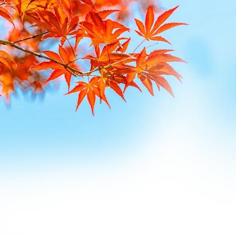 吴家史事拾遗（之三 ）——门楼匾额