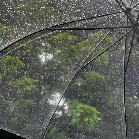 雨