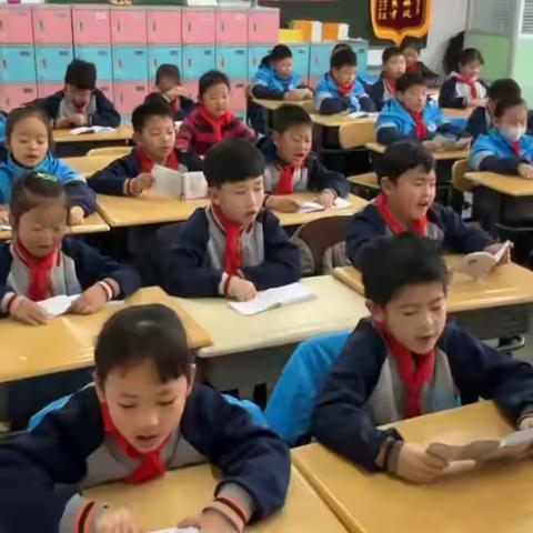 岁末将至，静待新朝！北师青附三年级八班 记录美好生活周记