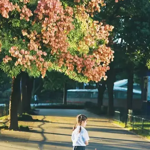 🌟播种一种行为，收获一种习惯【北师大青岛实验学校 一年级二班 第三周精彩回顾】