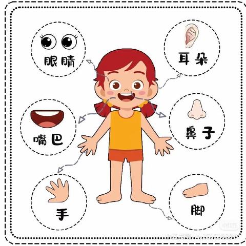 “身体里的小宝贝” 罗甸县第一幼儿园健康知识宣传