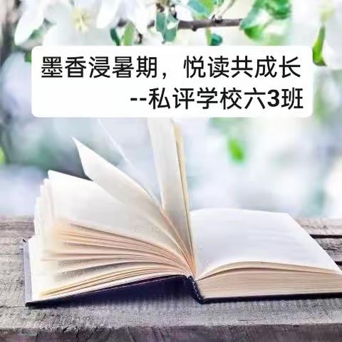 墨香浸暑期，悦读共成长--私评学校六3班