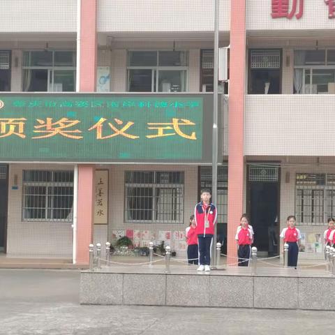 科德小学第十一周工作总结 （2024.11.11——11.17）