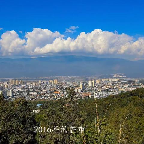 创建卫生城市， ﻿从我做起。