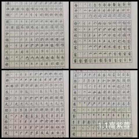 夏日拾光，向阳生长——昌乐县第二实验小学一年级暑假活动展示