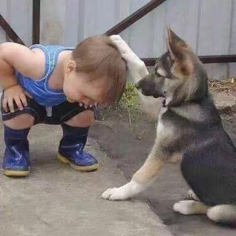 国庆作业-自制生态系统 -附中高新实验中学 欧阳祖名