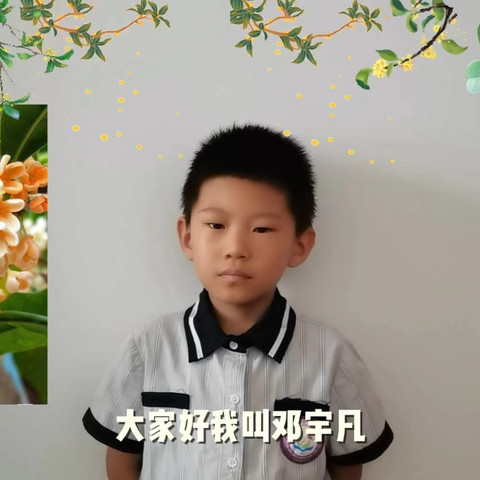 红塔区春和中心幼儿园植物简介——桂花树