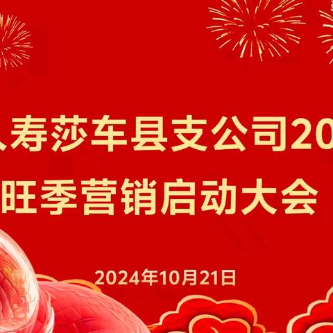 中国人寿莎车县支公司2025年旺季营销启动大会