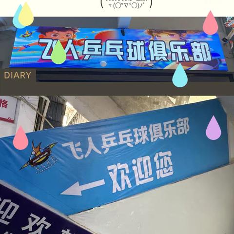 小乒乓，大能量!