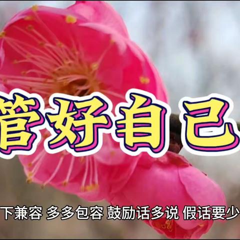 管好自己-向下包容多鼓励向上链接提供价值