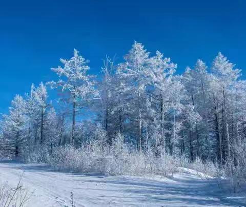 美好的寒假生活