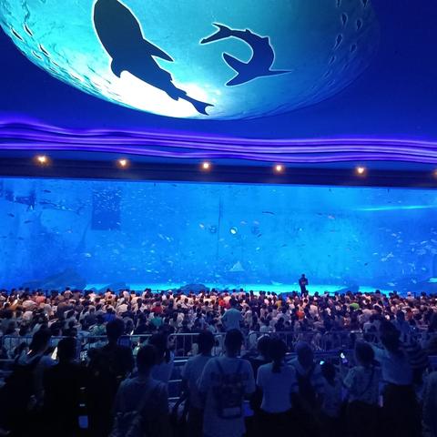 “多彩暑假，快乐一夏”研学之旅