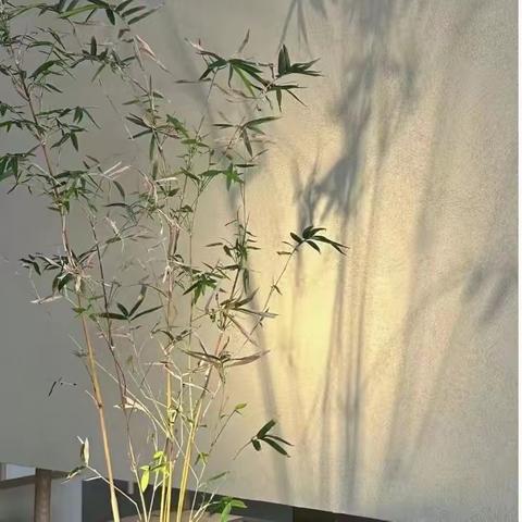 学习传统文化 争做内涵少年