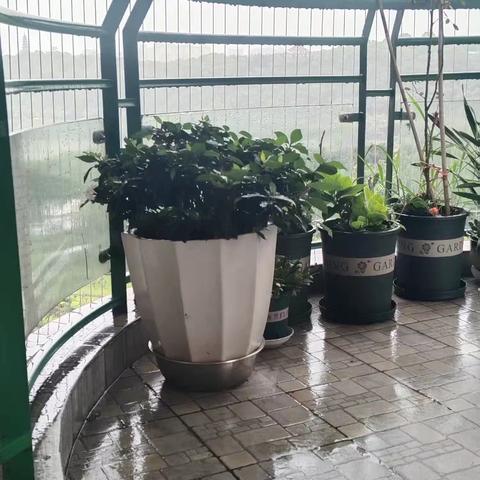 一场大雨