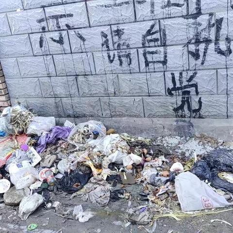 张北县北辰路办事处民建街社区 我为群众办实事 垃圾清理解民忧