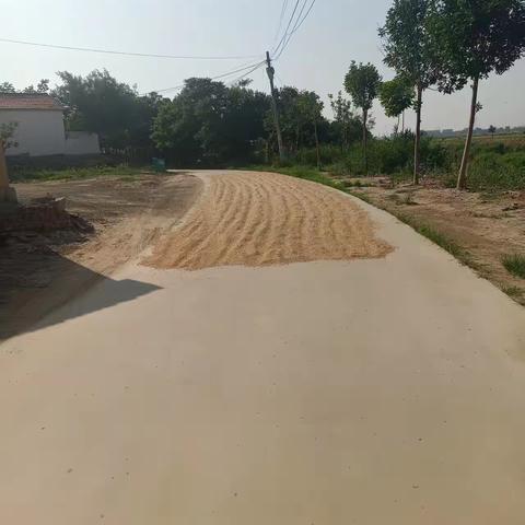 禁止占道晒粮，守护乡村道路安全