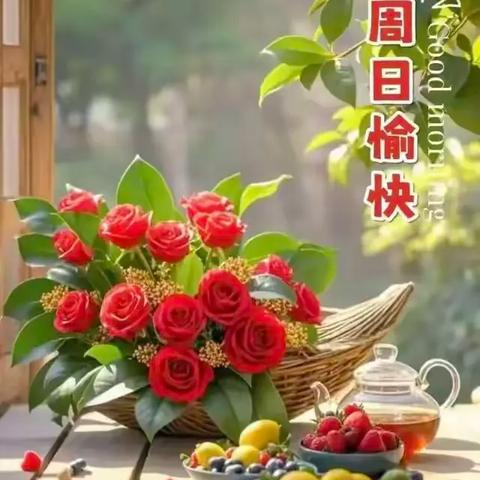 栖心社读书会：在书香与自然中养生养心
