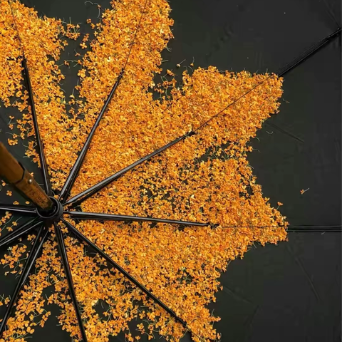 2025年8月份第四周交通运输厅物业部周工作汇报