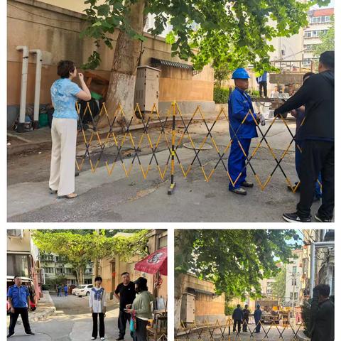 【治荟明湖·聚慧县东】携手共治，全力清除树线矛盾——大明湖街道县东巷社区联合园林及电力部门修剪枝叶