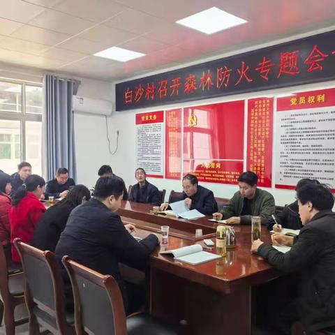 筑牢防火防线，守护绿色家园——延坪镇白沙村开展森林防火应急演练纪实