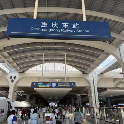 假期生活的多样精彩瞬间