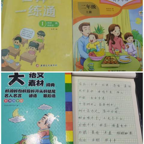 实验小学一年级三班张瑾瑜的快乐暑假