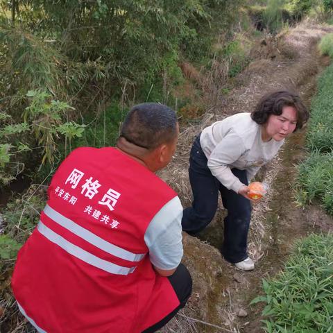 网格温情服务暖人心