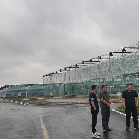 县委常委、县委办公室主任曹来凌到城郊乡智慧蔬菜园区督查指导防洪排涝工作