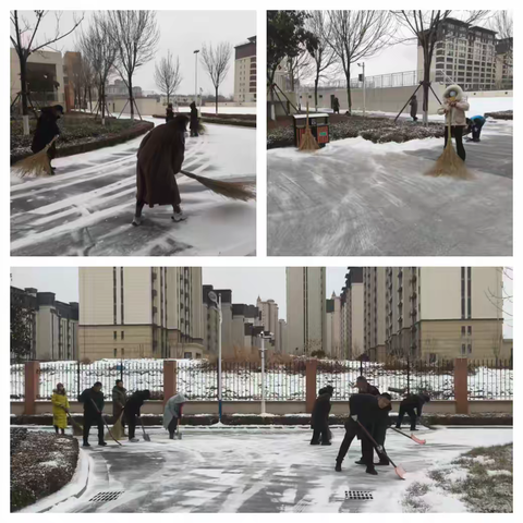 银装素裹美校园，扫雪除冰暖人心——洛城街道悦轩小学开展扫雪除冰行动