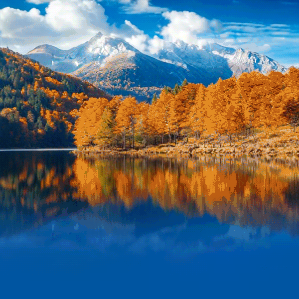 探秘植物王国，收藏秋天童话 ——记大二班幼儿中科院生态所植物园研学之旅