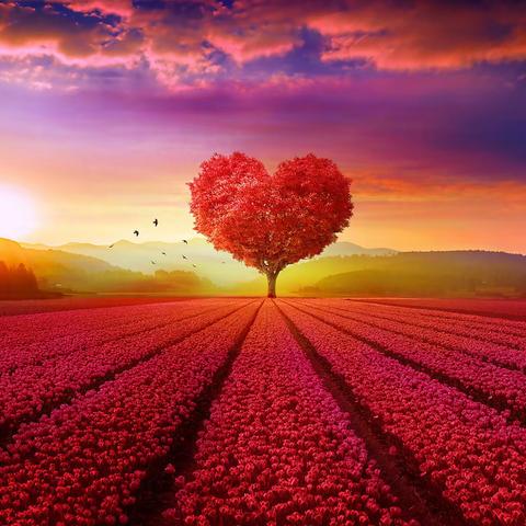 排忧解难办实事，热情服务暖人心！