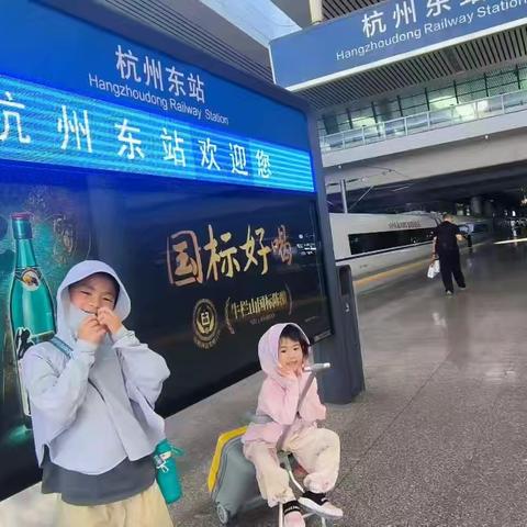 漫步西湖——一花一景显诗情