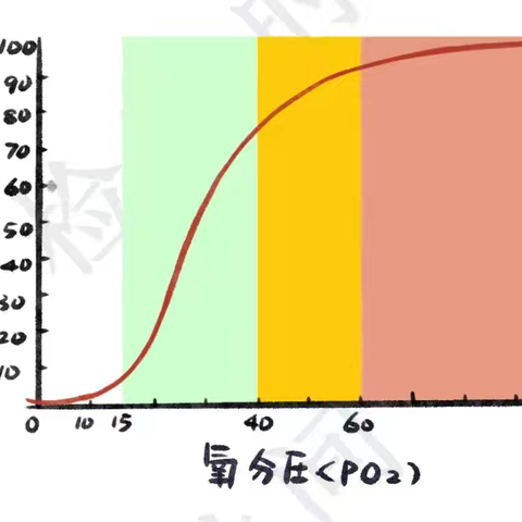 氧分压与血氧饱和度的关系！
