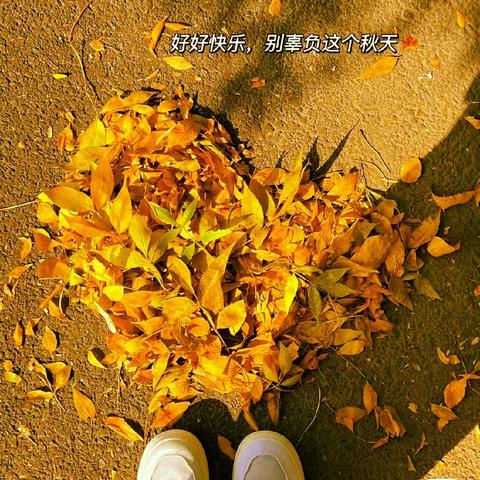 【南宁观天下项目】10月份工作简报                                  心中有秋🍁服务为先🌸