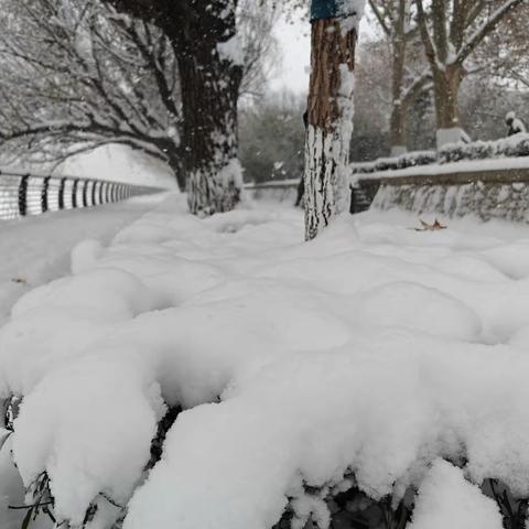 “趣”玩雪 欢乐嗨——七年级二班年末玩雪纪实