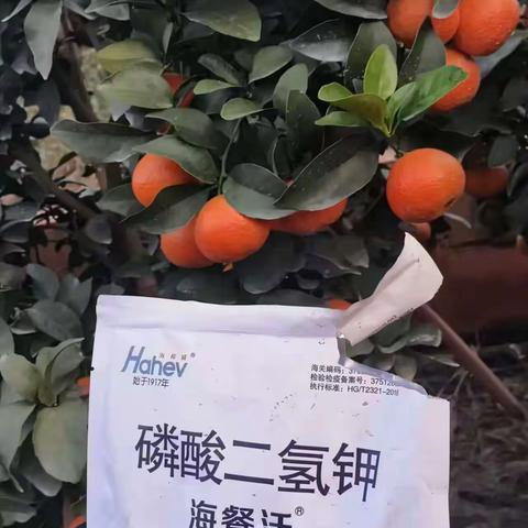 带你进一步了解到底什么是水溶肥？