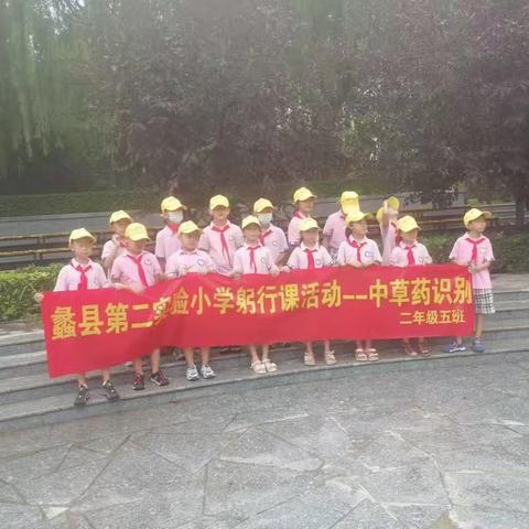 躬行践履始玉成,行而不辍终致远。蠡县第二实验小学（二五班）秉承“知道躬行”校训，“五育齐萌”的育人理念，开展了“识草药、知草药、感悟中药文化博大精深”的暑期躬行课程。