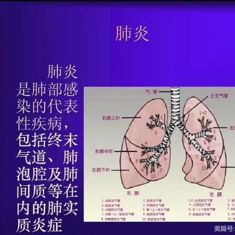 肺部感染