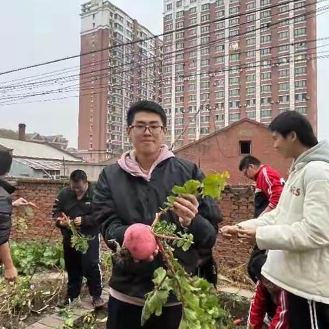 【一中劳动】“丰”景美如画,学生采摘忙