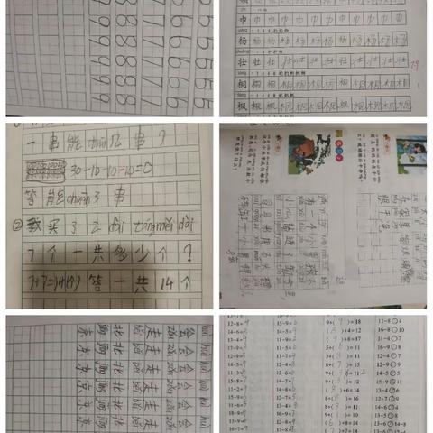 多彩的暑假生活