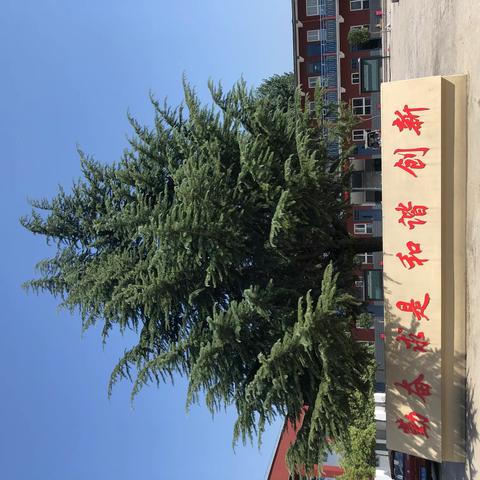 【主题教育】与光同向，与法同行——西街小学开展国家宪法日主题教育活动