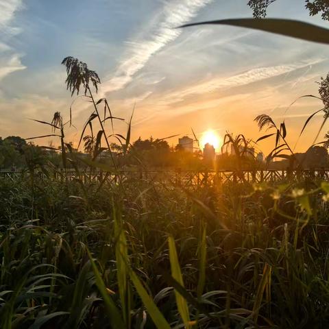 夕阳西下，深秋情深。